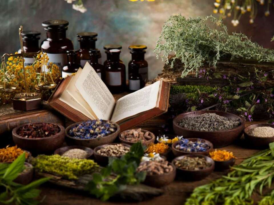 Top 10 Herbal Companies In India