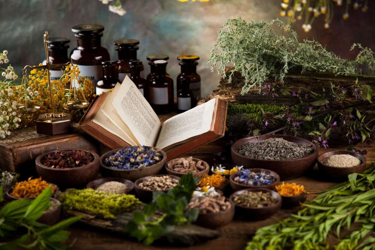 Top 10 Herbal Companies In India